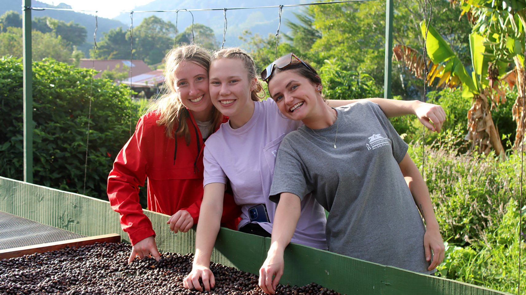 Group of three students looking at coffee beans in Costa Rica